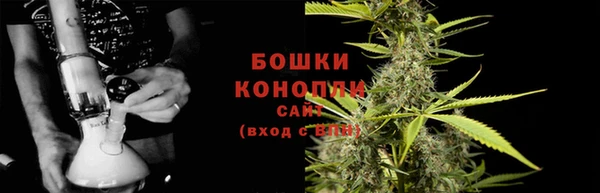 СК Гусев