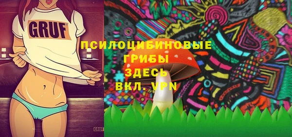 соль курить ск Гусь-Хрустальный