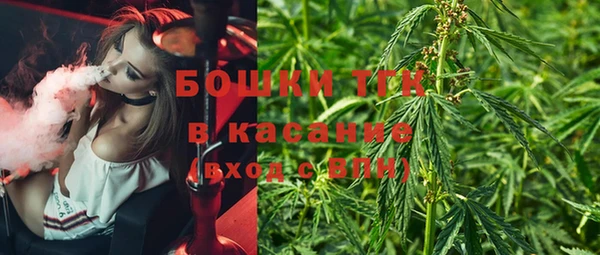 СК Гусев