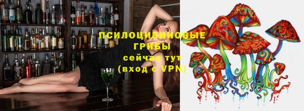 МДПВ Гусиноозёрск